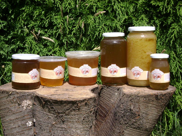 Miel multifloral de precordillera patagónica